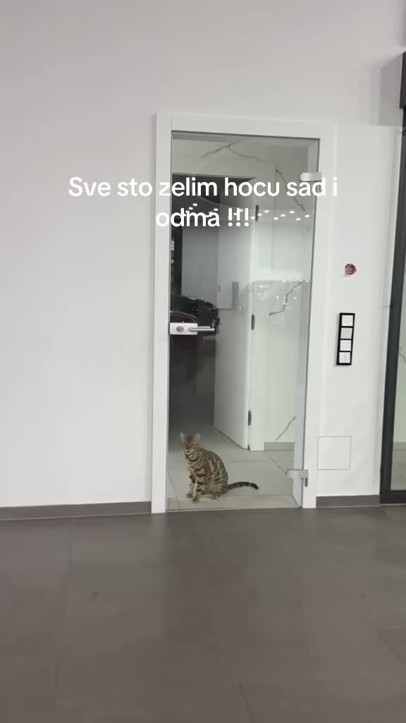 @Ivan Esma Barkijevic
