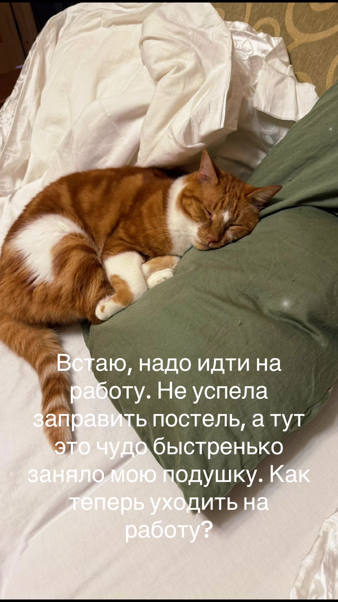 @Людмила Якушкина