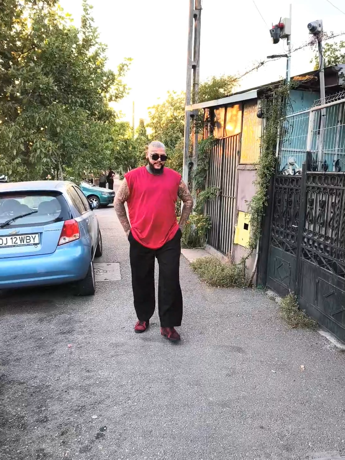 @Mogoșanu MoMo ♪