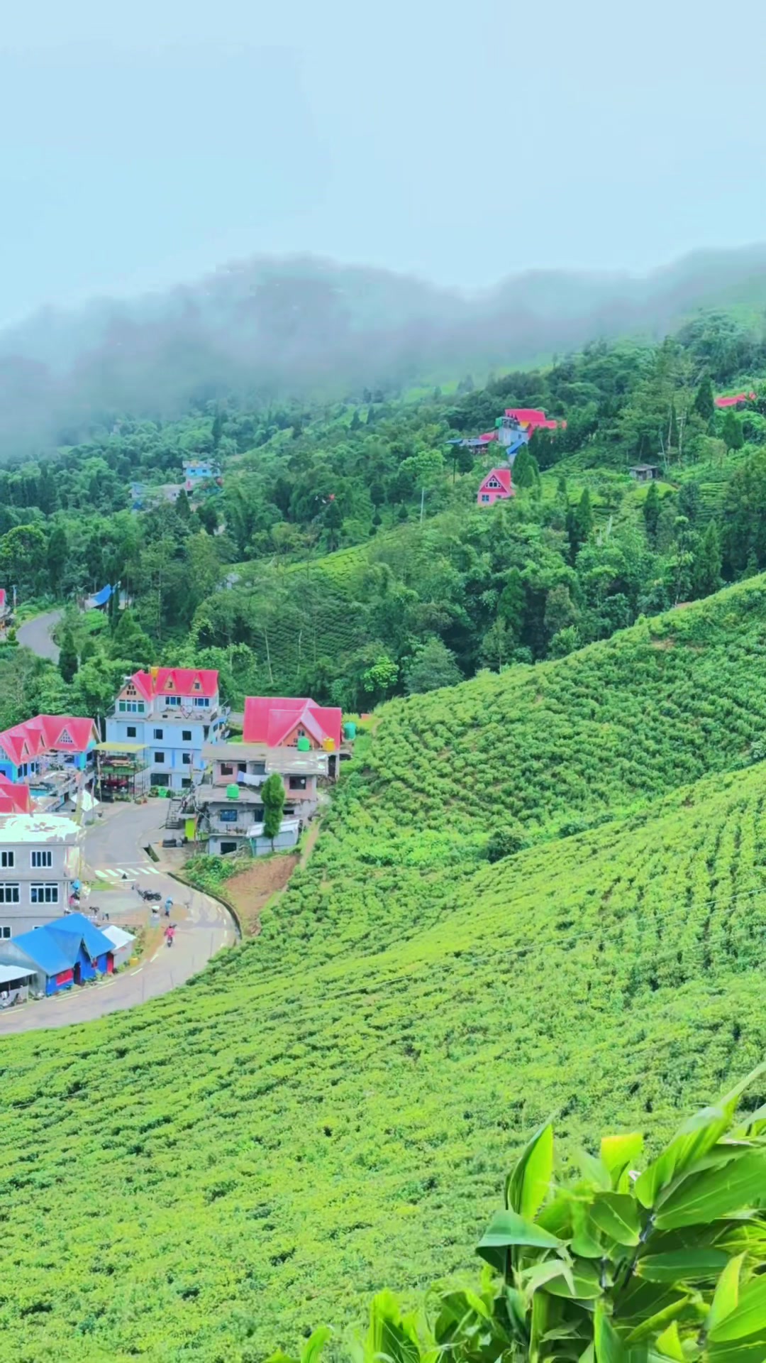 @रायन