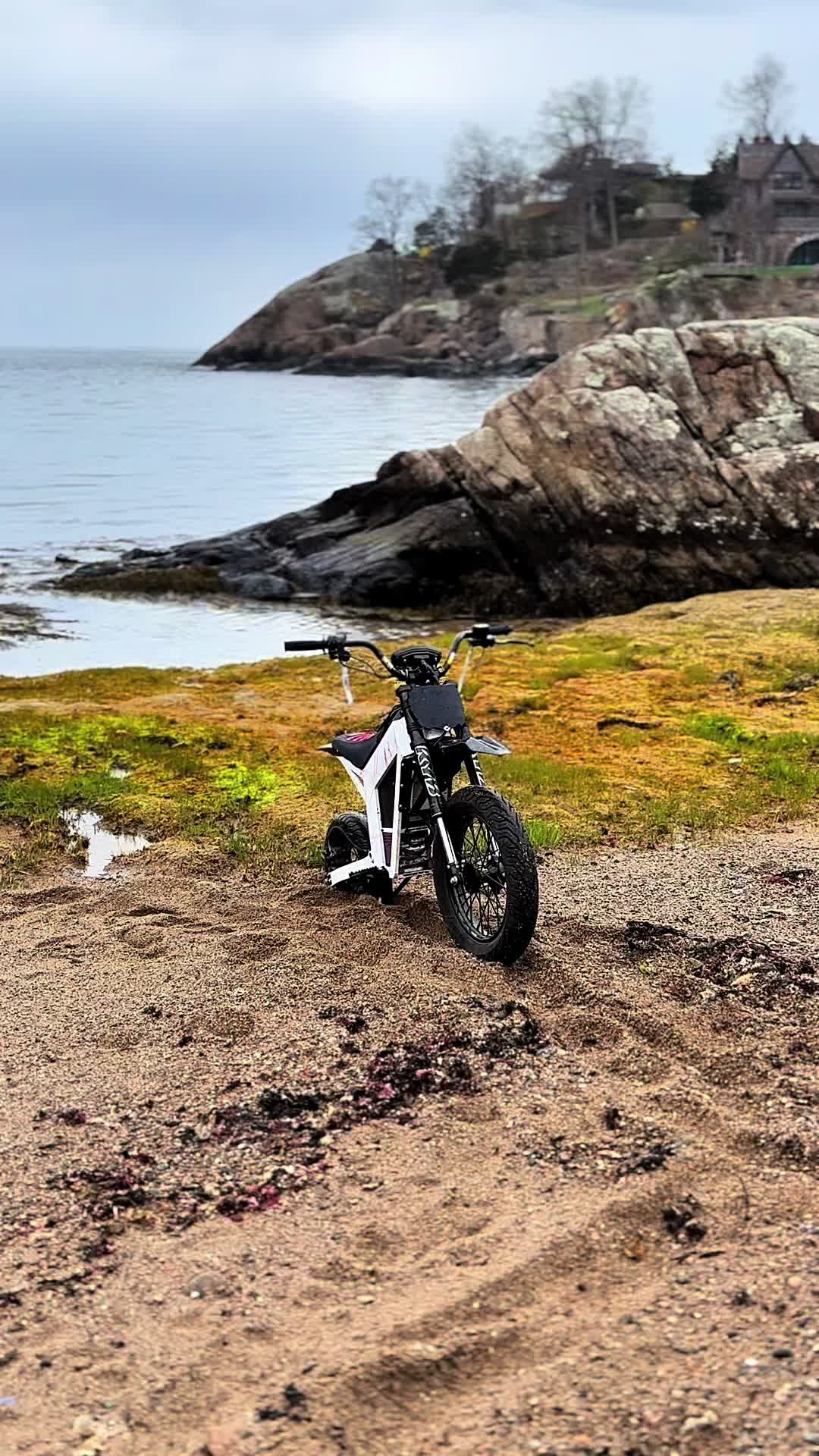@🏝️54vPhoenix🏝️