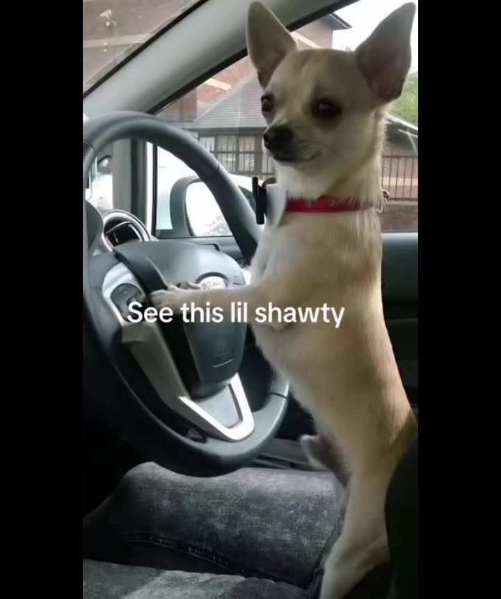 @Amir