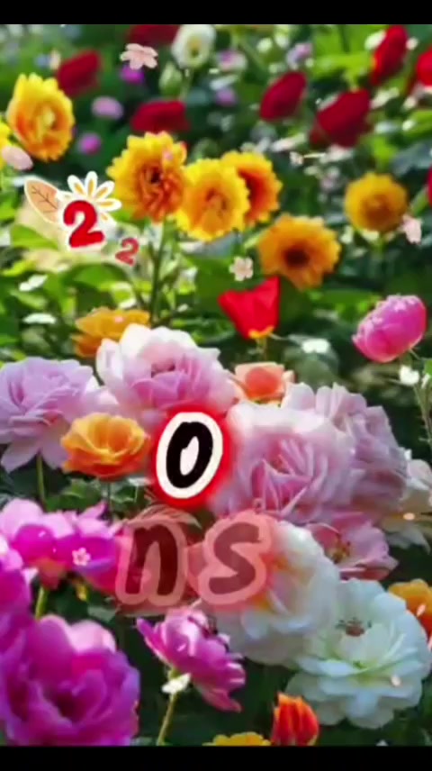 @Noemi D.B