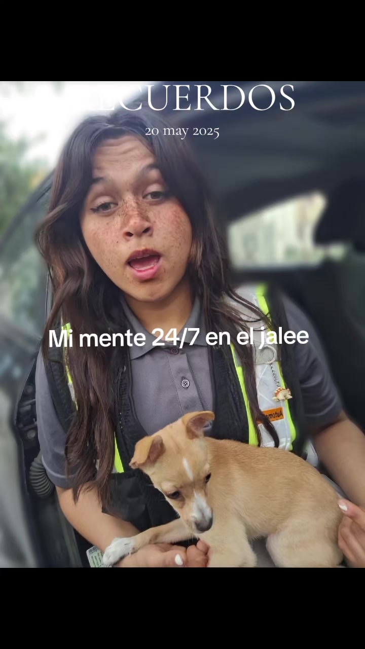 @AquiNo