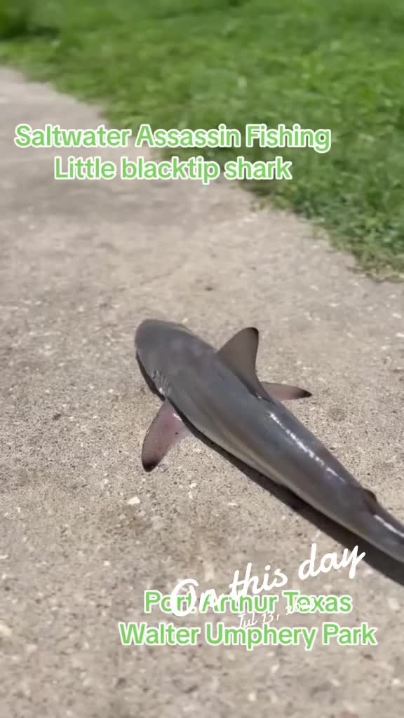 @Saltwaterassassin22