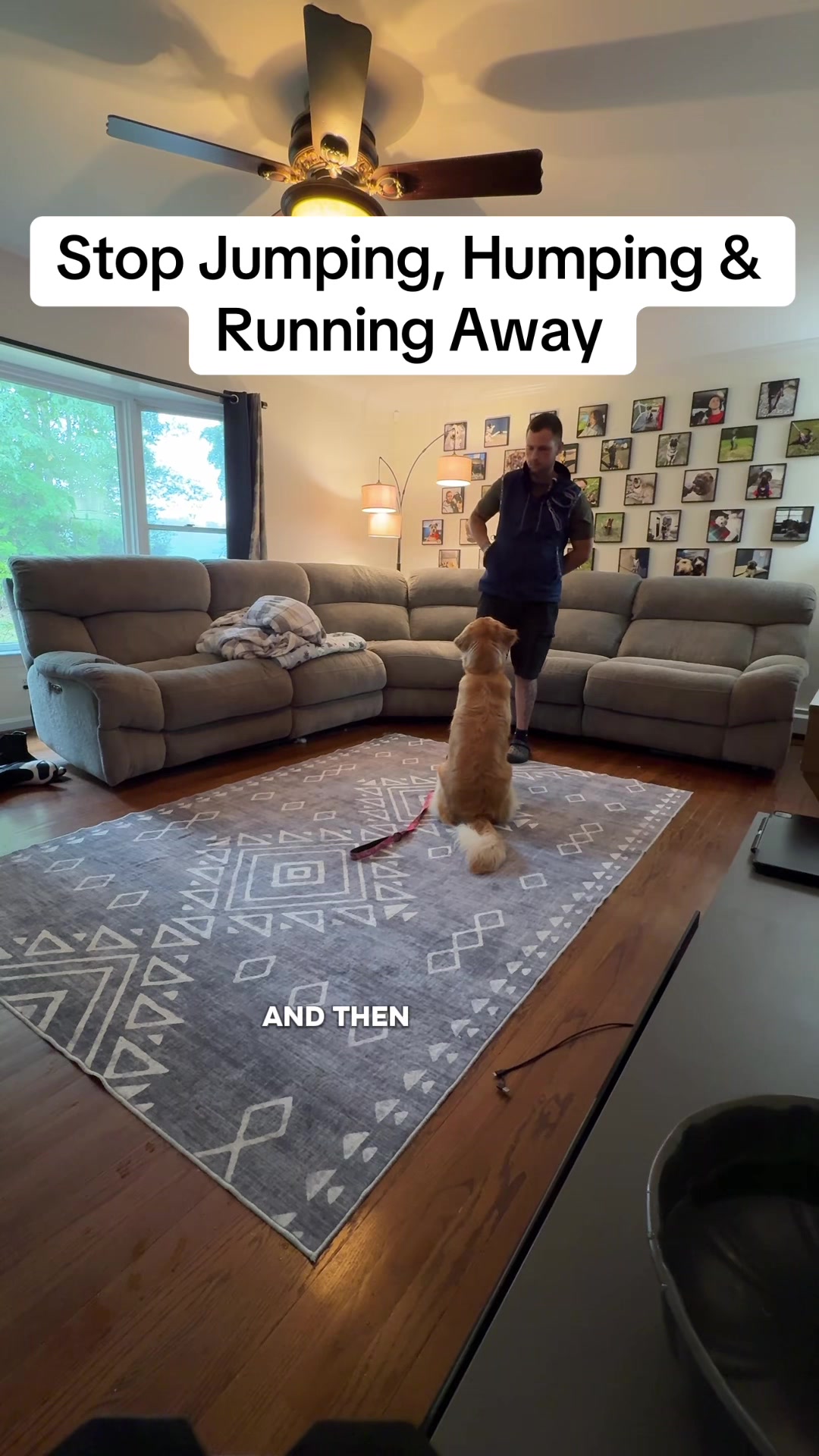 @Best Buddy Dog Trainer LLC