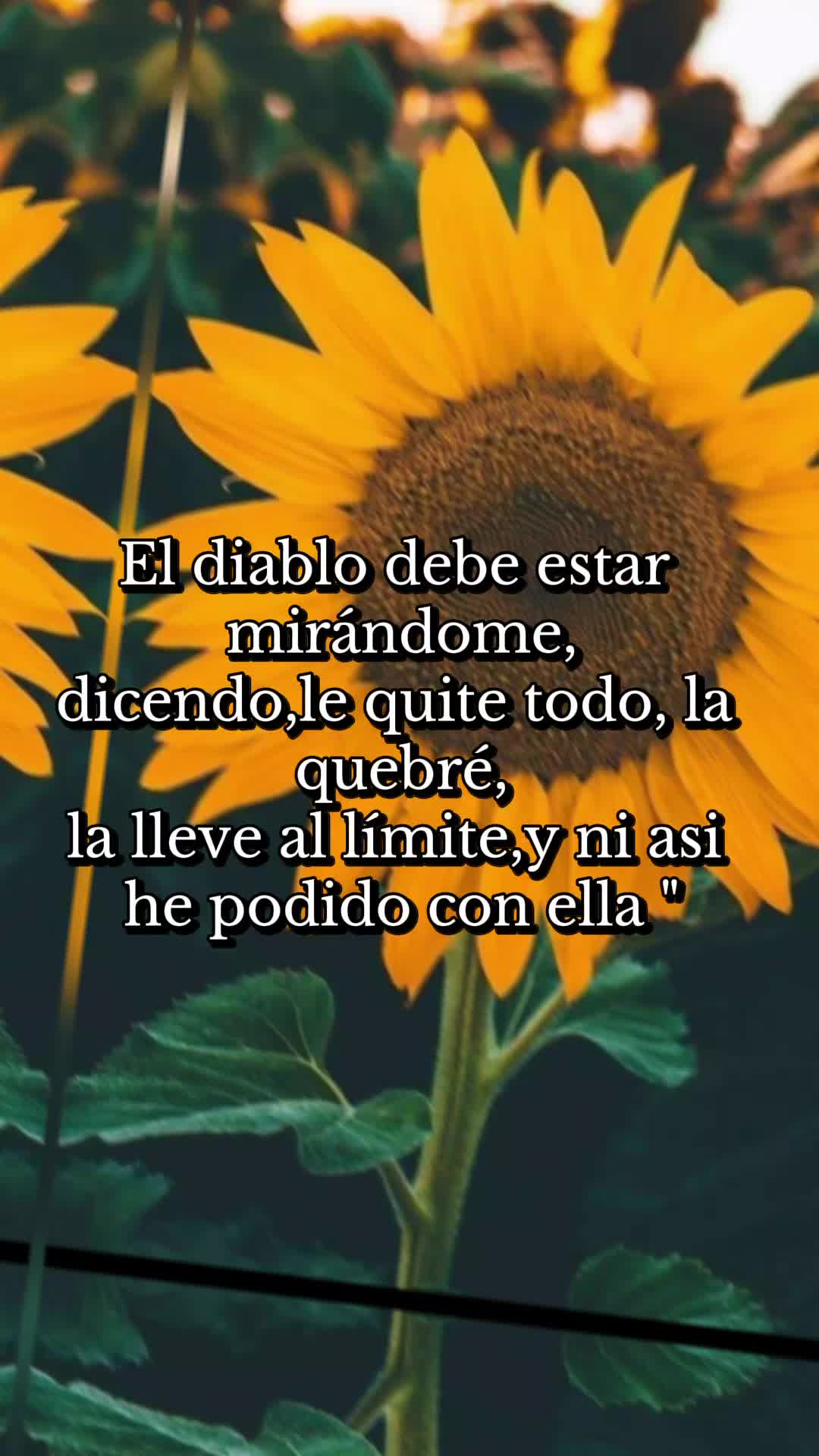 @🫡🖤Maryam.ATp,,🖤🌼