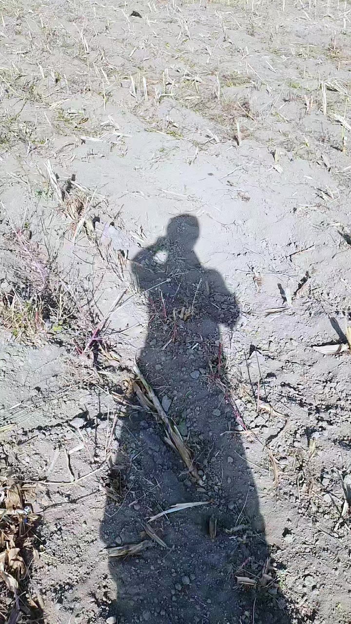 @Krasavitsa_Nookat_777