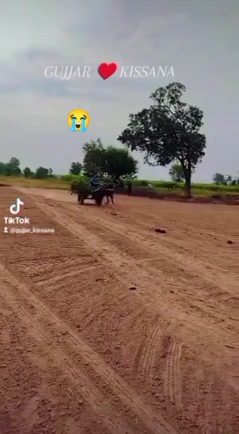@𝐆𝐔𝐉𝐉𝐀𝐑 𝐊𝐈𝐒𝐒𝐀𝐍𝐀55
