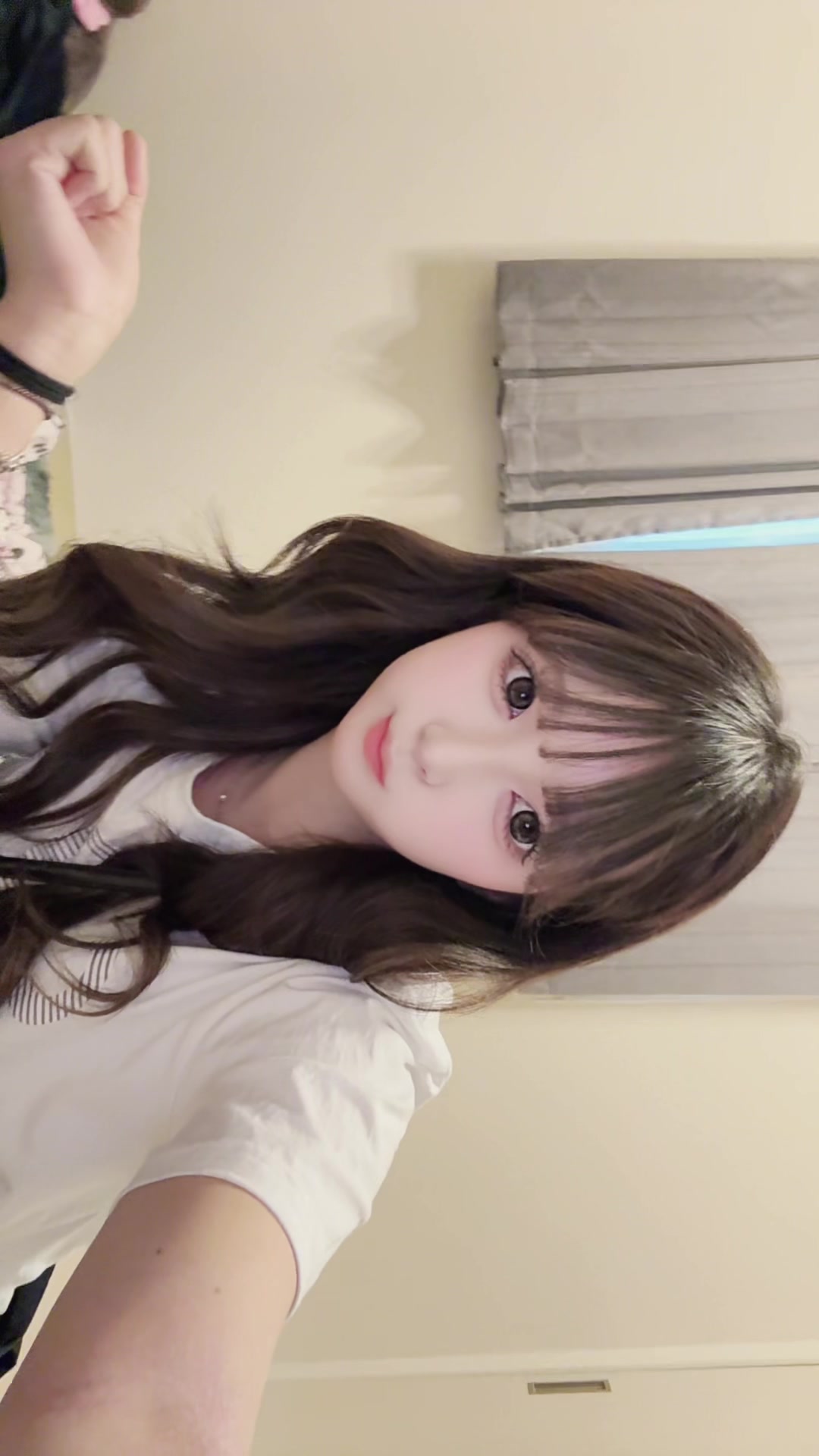 @ありにゃ