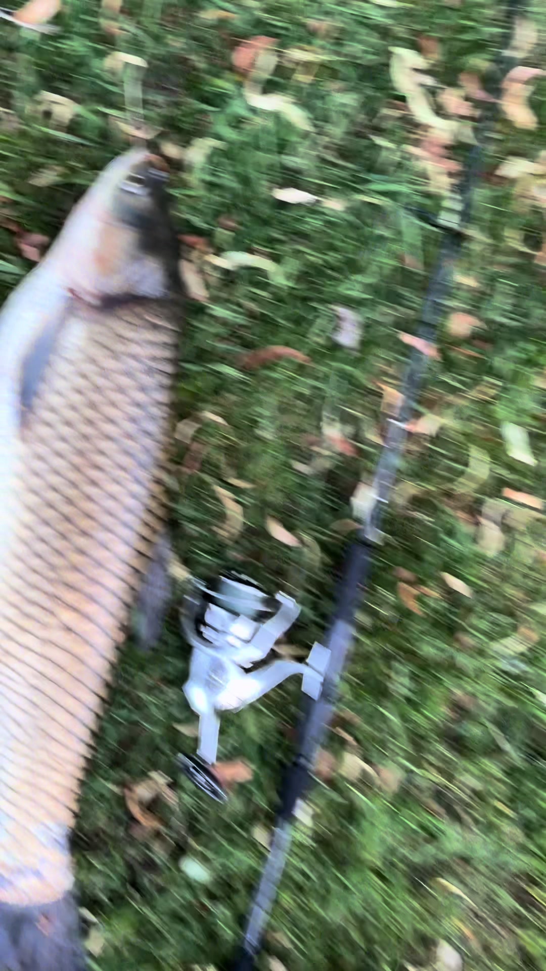 @JoseFishing