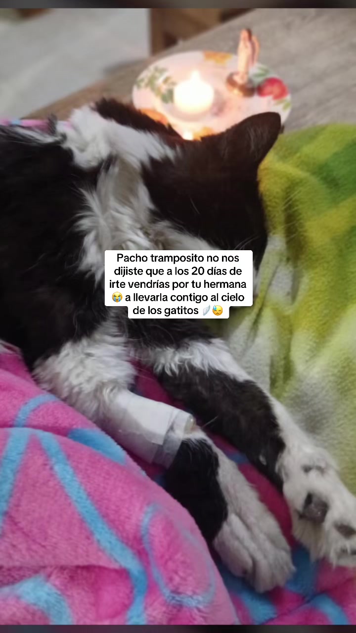 @Manuela Monsalve Vél