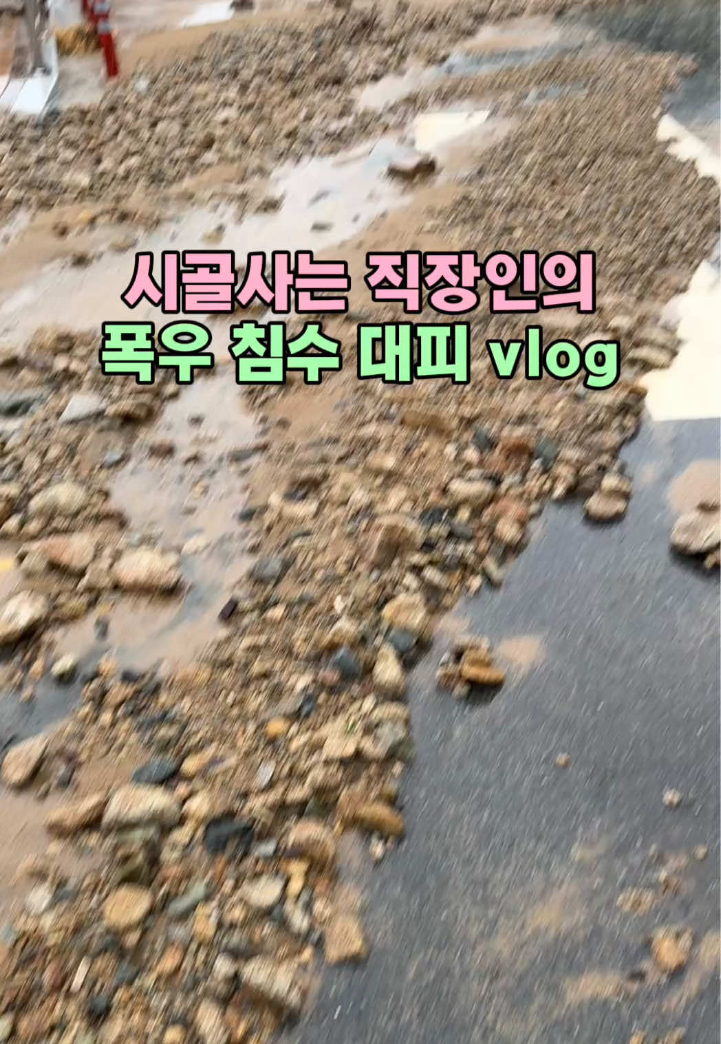 @쭈야.JJUYA