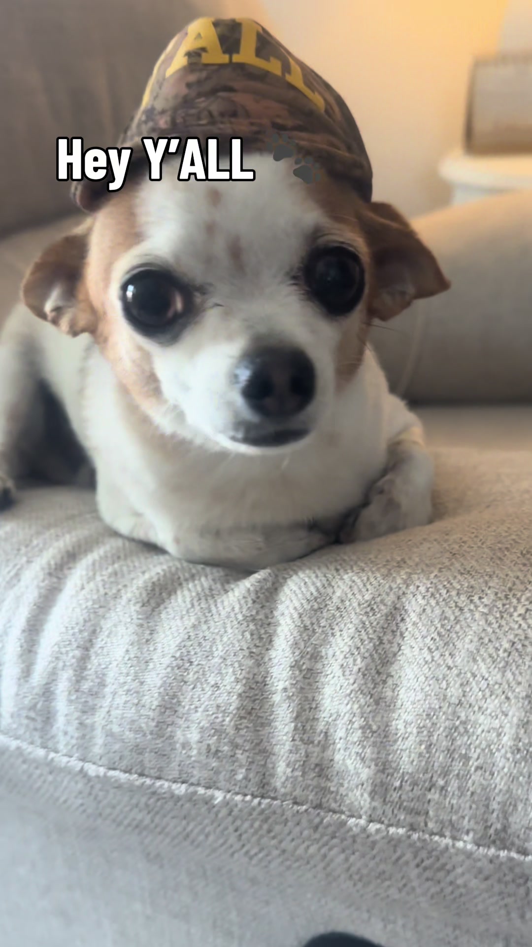 @TikTok&rsquo;s Favorite Lips 👄