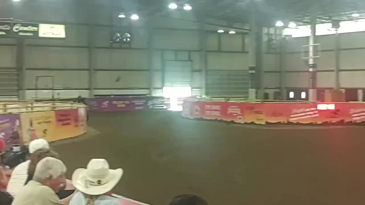@TF Performance Horses