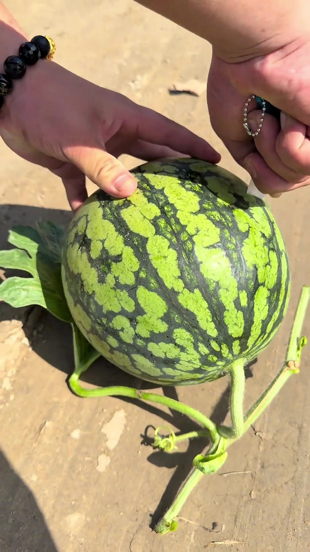 @A May Farm