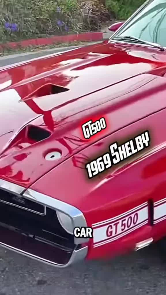 @𝙈𝙊𝙏𝙊𝙍𝙎 𝙈𝘼𝙉𝙄𝘼