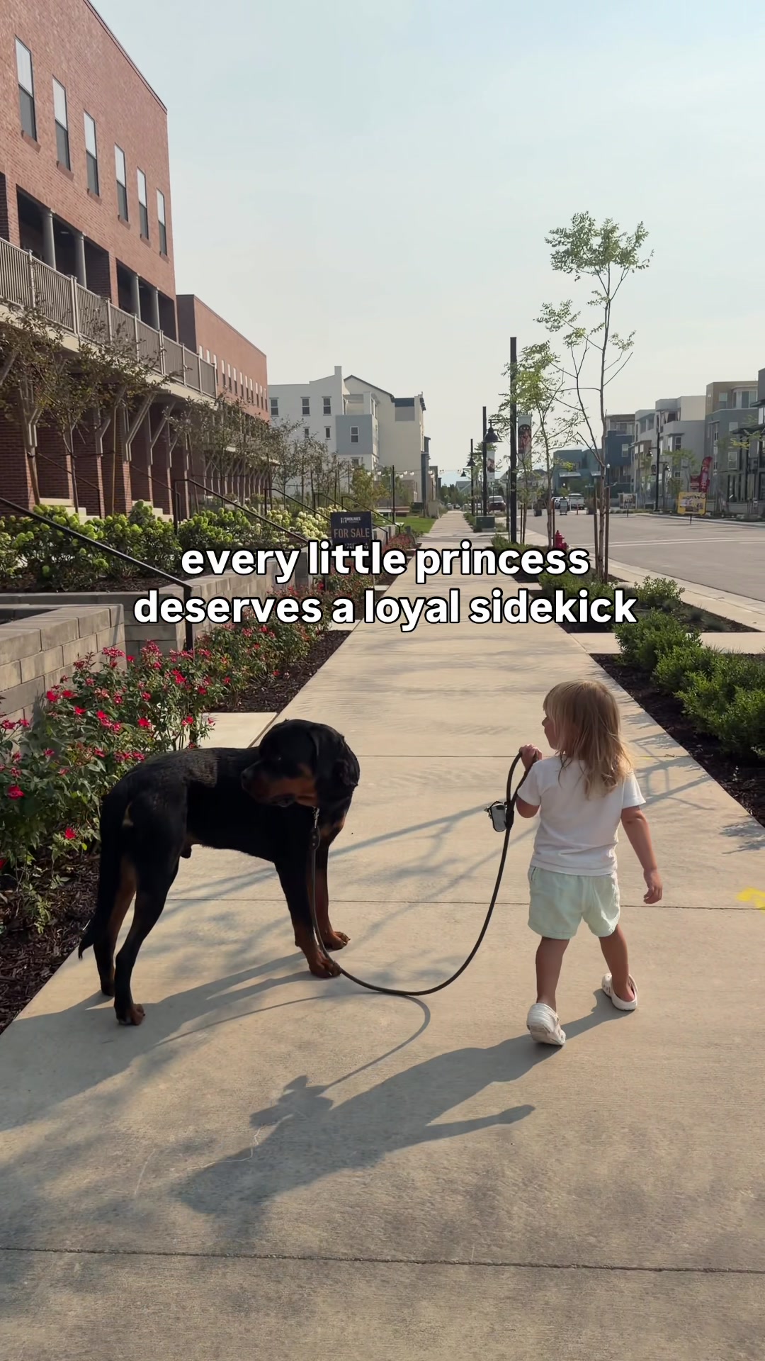 @Rex the Rottweiler