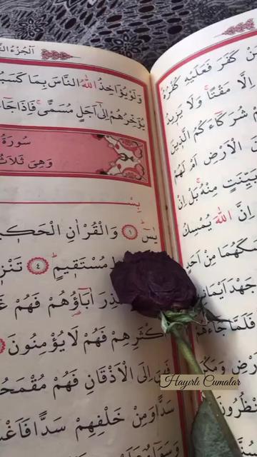 @◥꧁ད DİLEK ཌ꧂◤