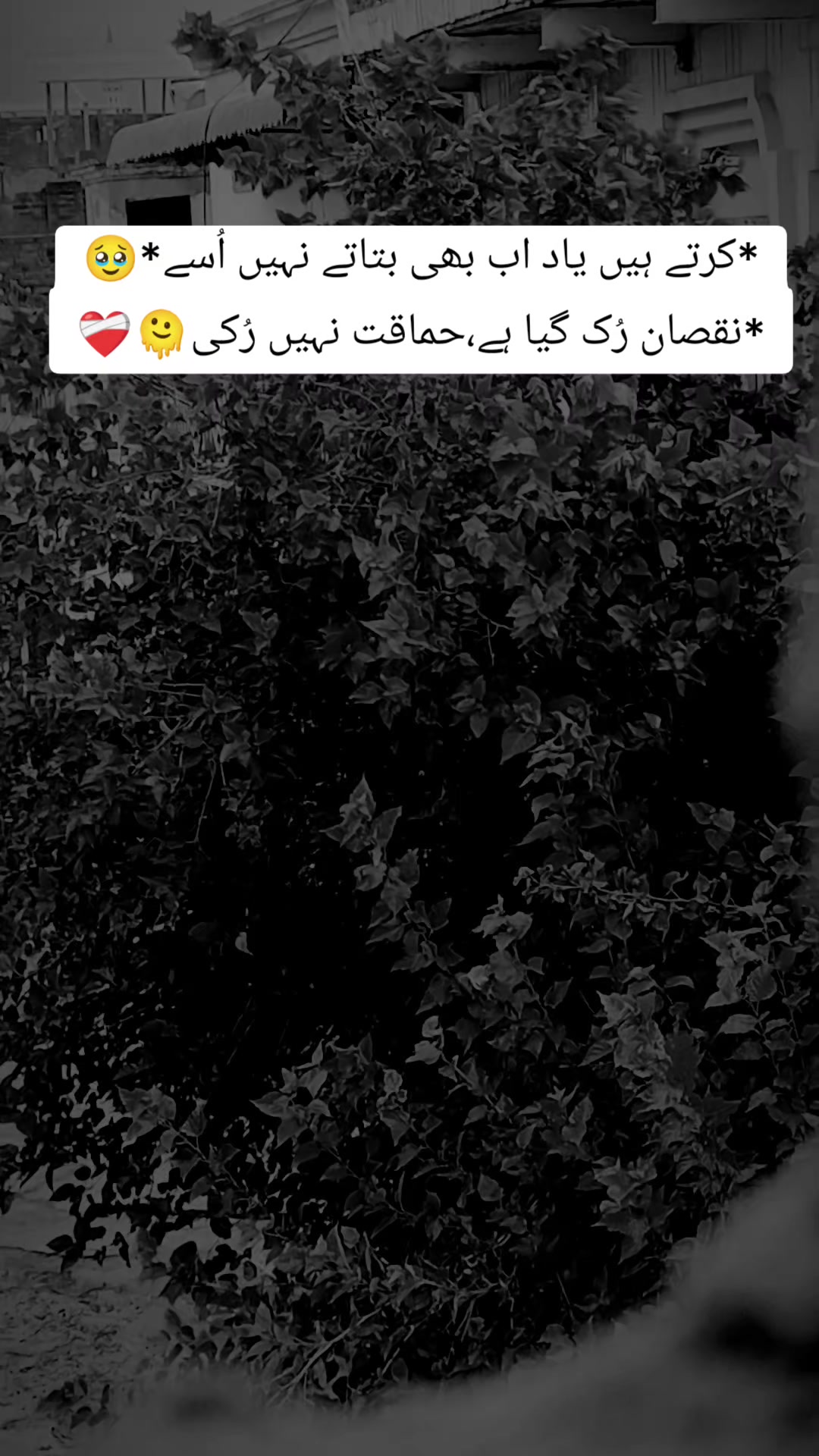 @❤️&zwj;🩹 Alone ❤️&zwj;🩹