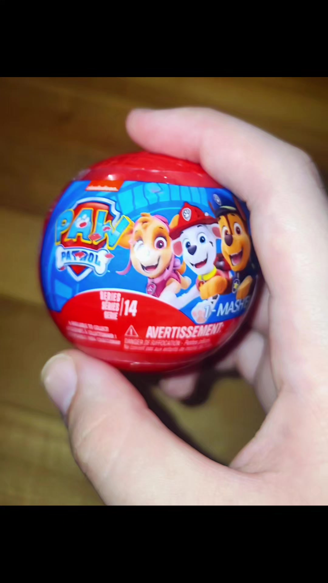 @Jester 🎭 (Paw Patrol No1 Fan)