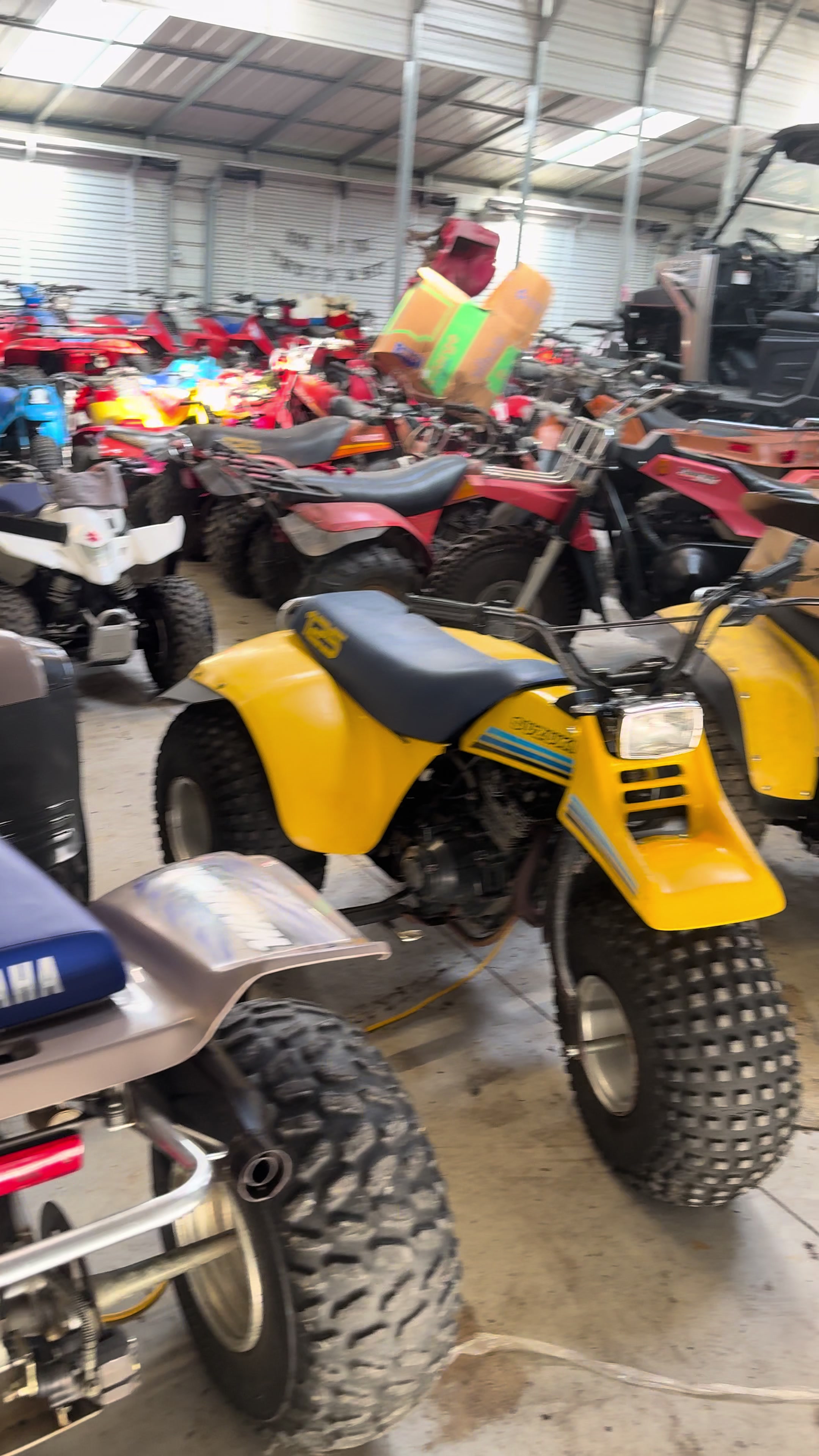 @davisautosales