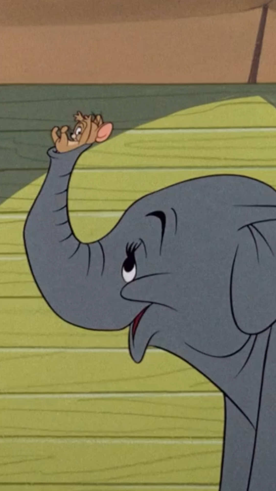 @Tom and Jerry