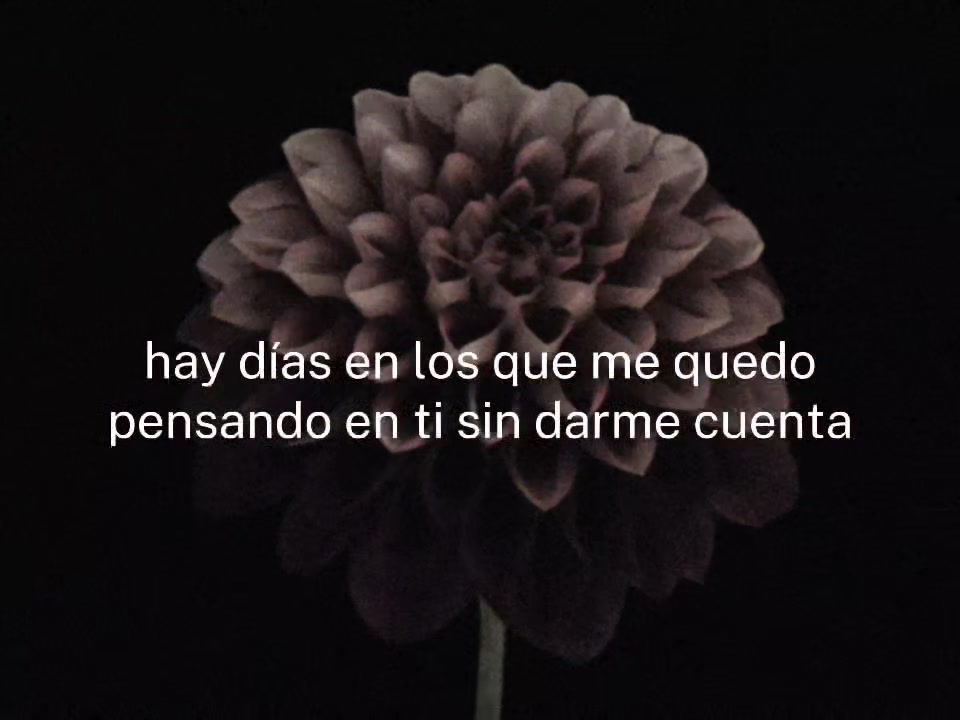 @19