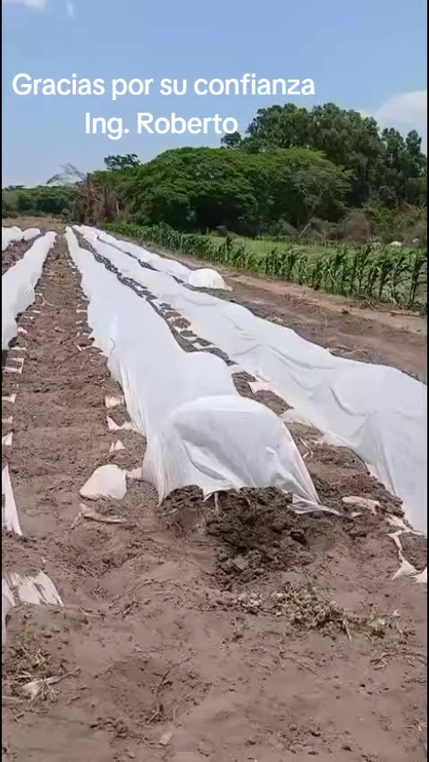 @Agust&iacute;n Ram&iacute;rez Guzman