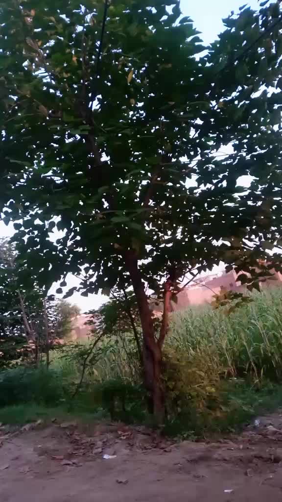 @Bilal Butt