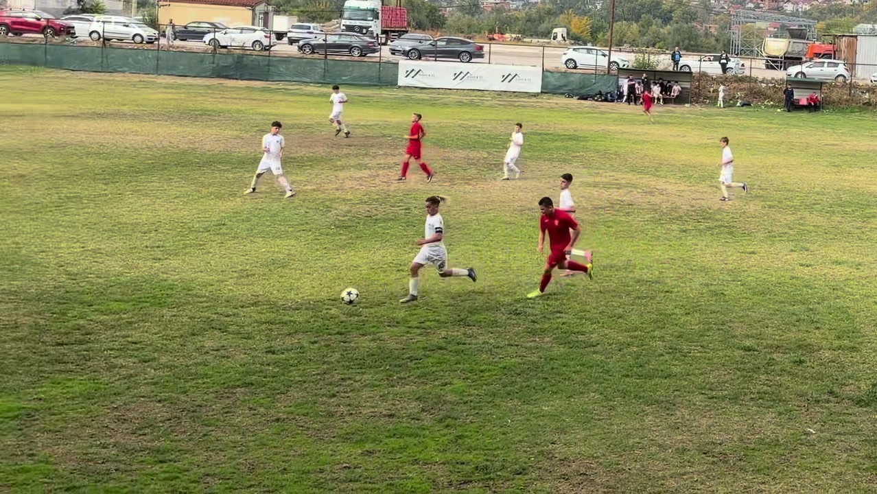 @erdi_tairi2013