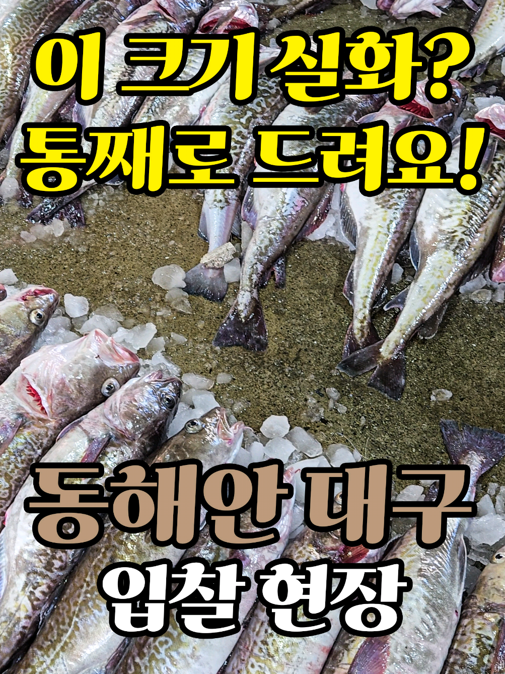 @어부와농부
