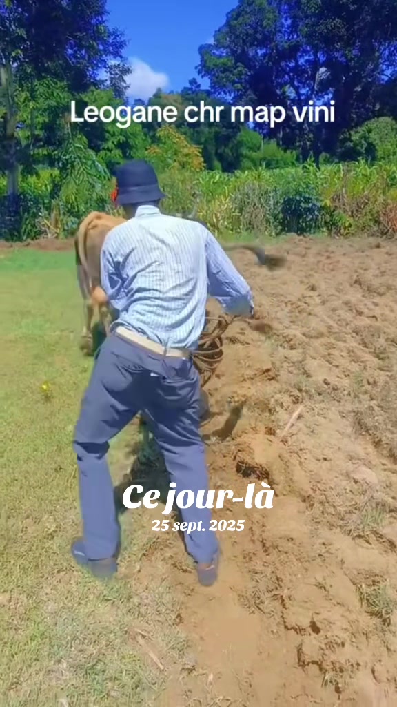 @Djooky 7