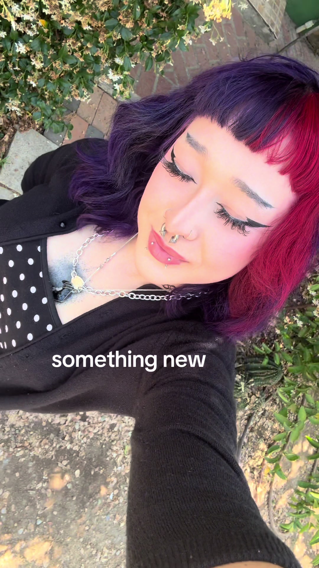 @sd