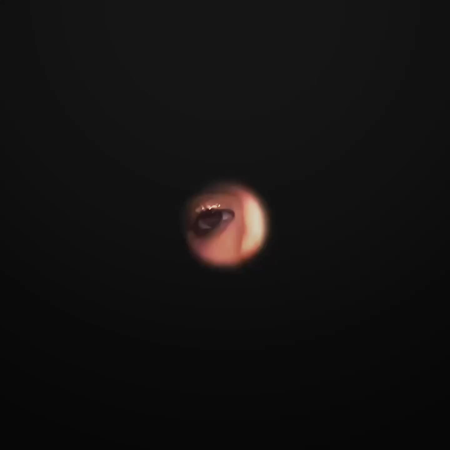 @&bull; ᴍɪʜᴀᴇʟᴀ &bull;