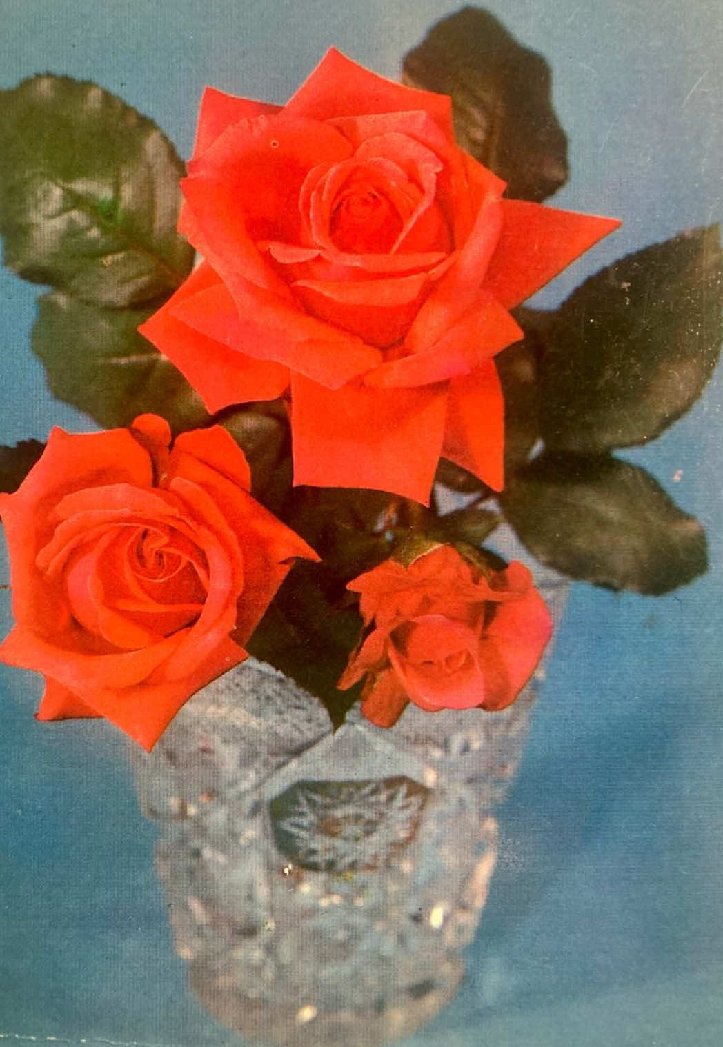 @clarissaofeden111