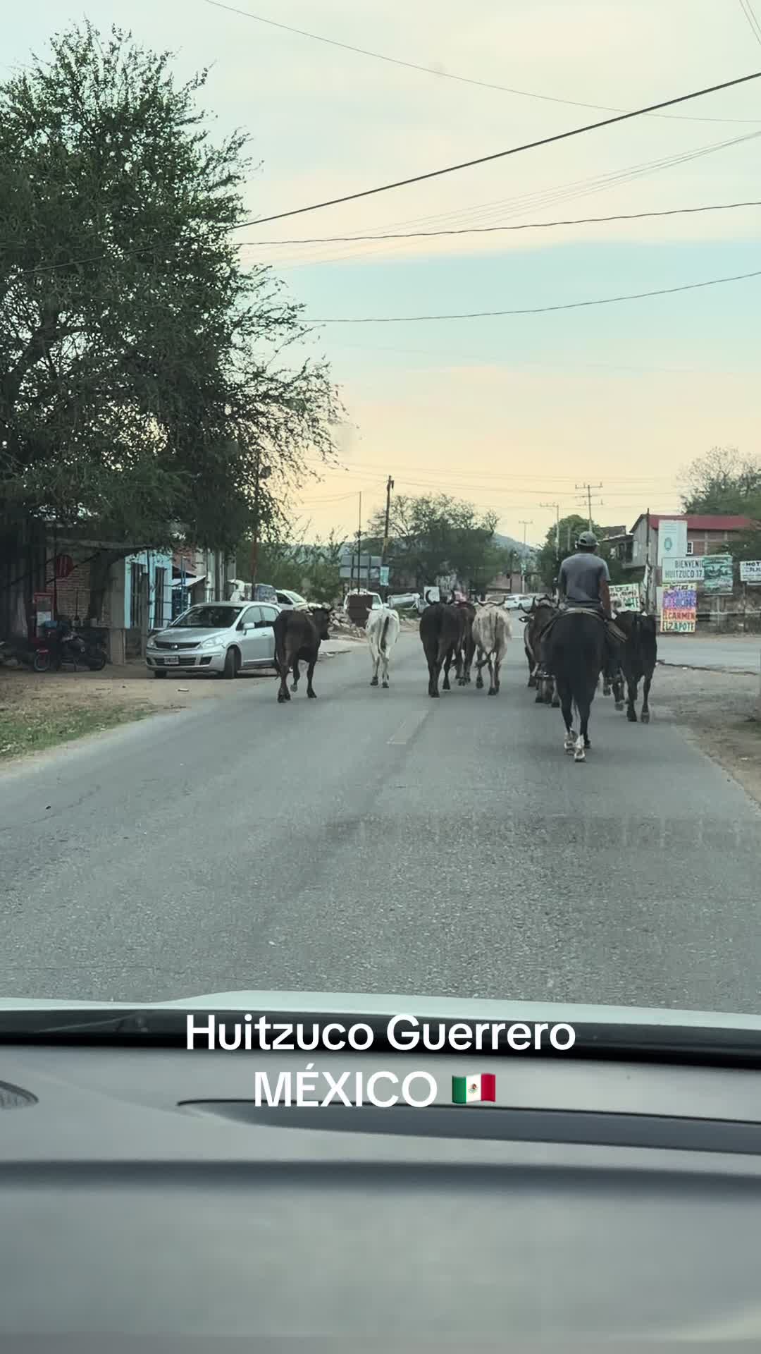 @Yoli Gamboa-Hernández