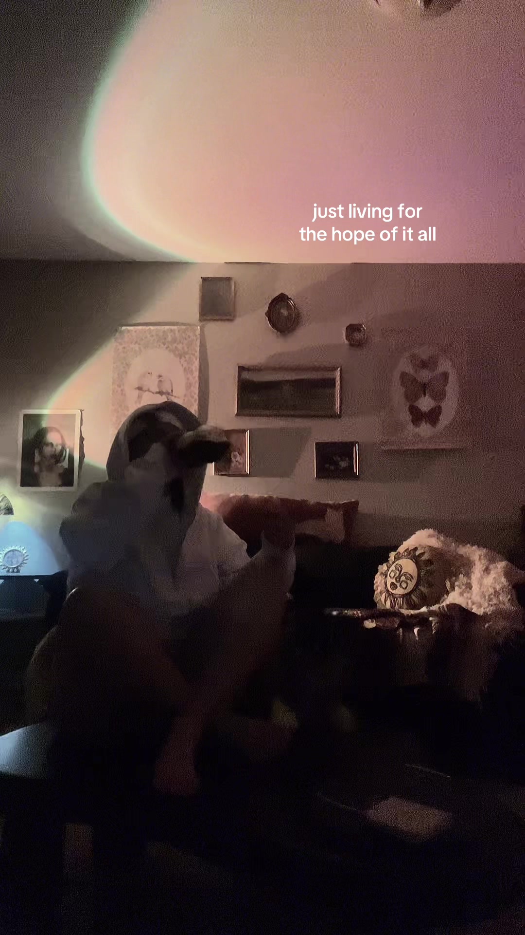 @ari