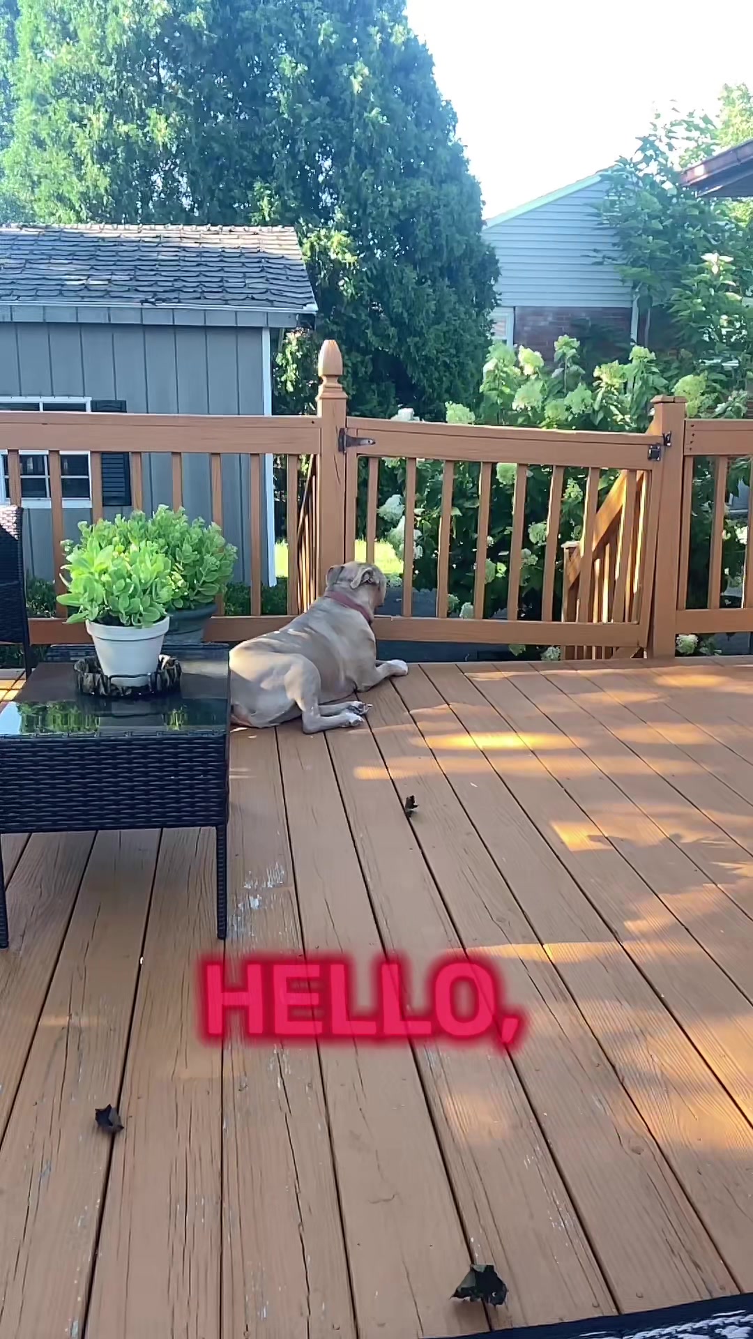 @Heather & Rocky 🐾💕