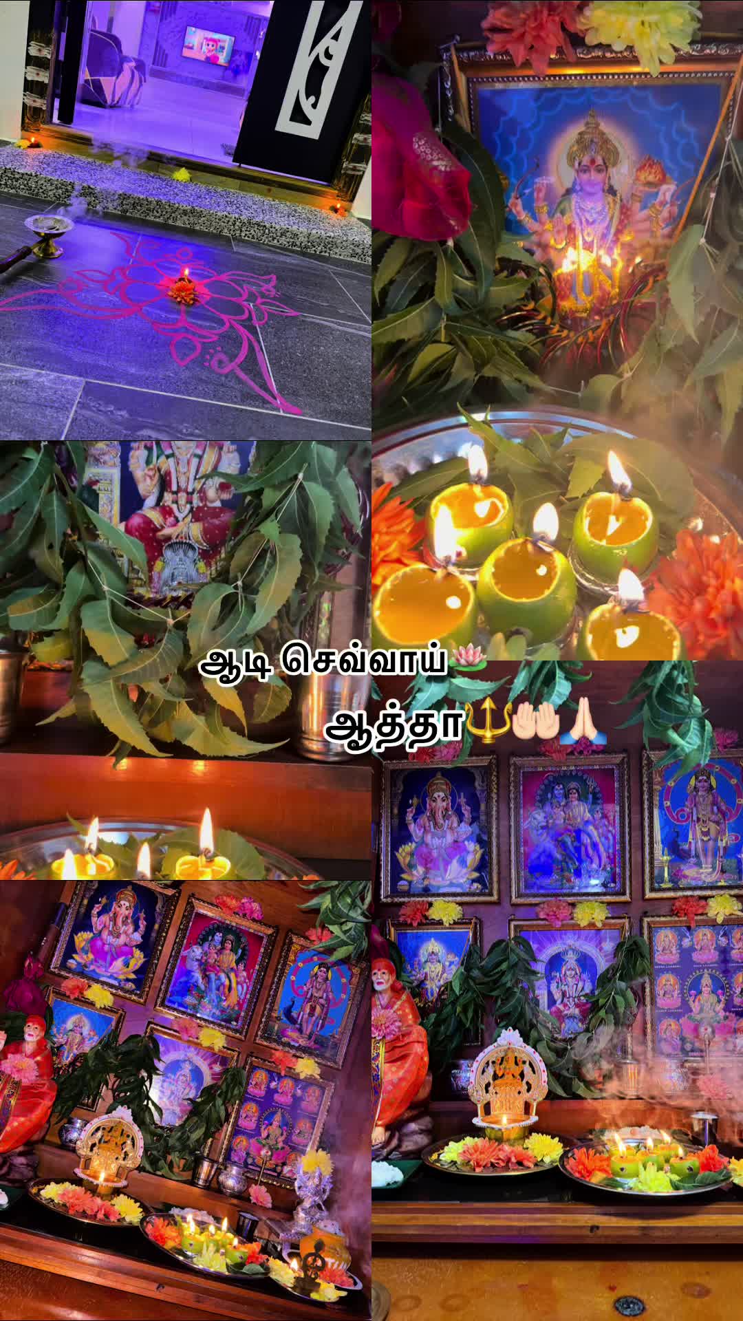 @M0g&ntilde;&euml;sPR&iacute;SS&acirc;t&igrave;S8617