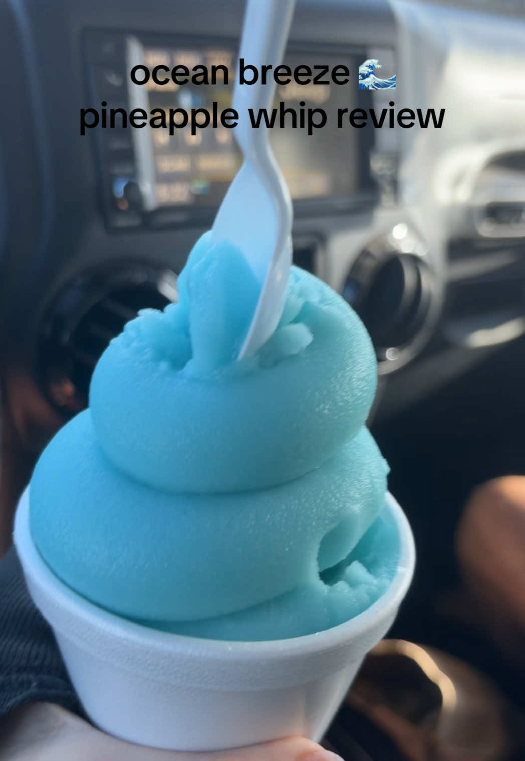@bella blue