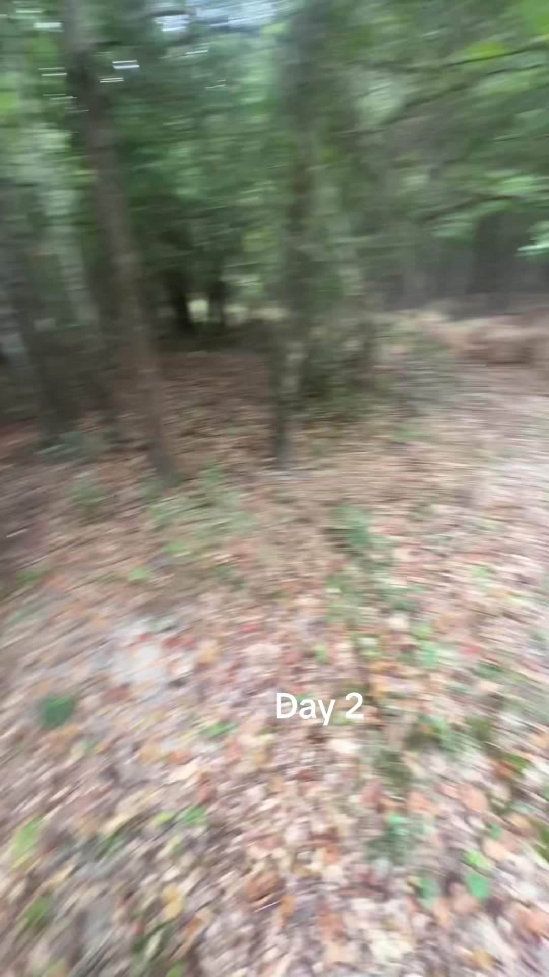 @__kylekelley__
