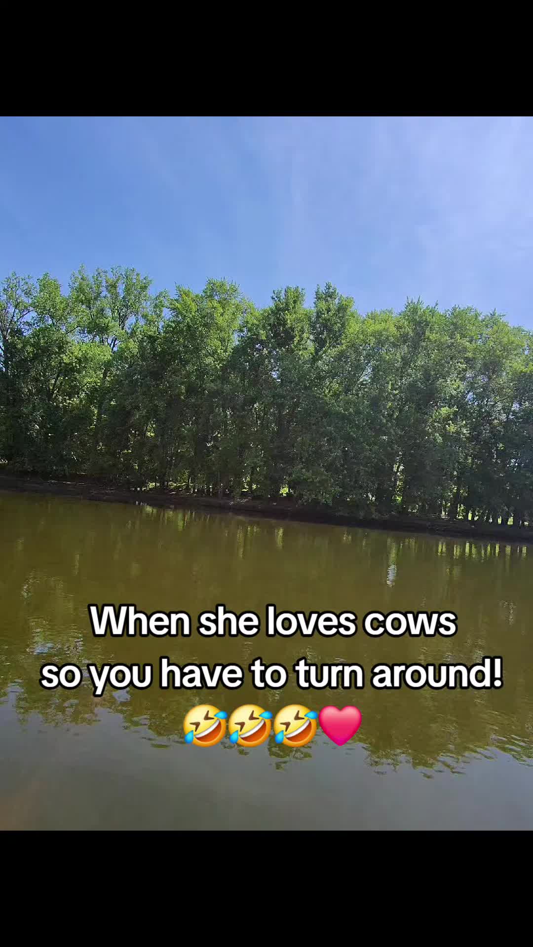 @Kyle