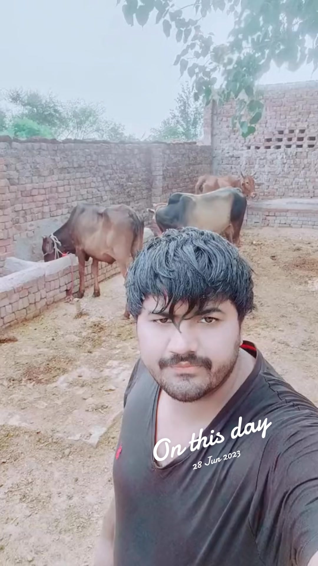 @Shahid Amin Tori
