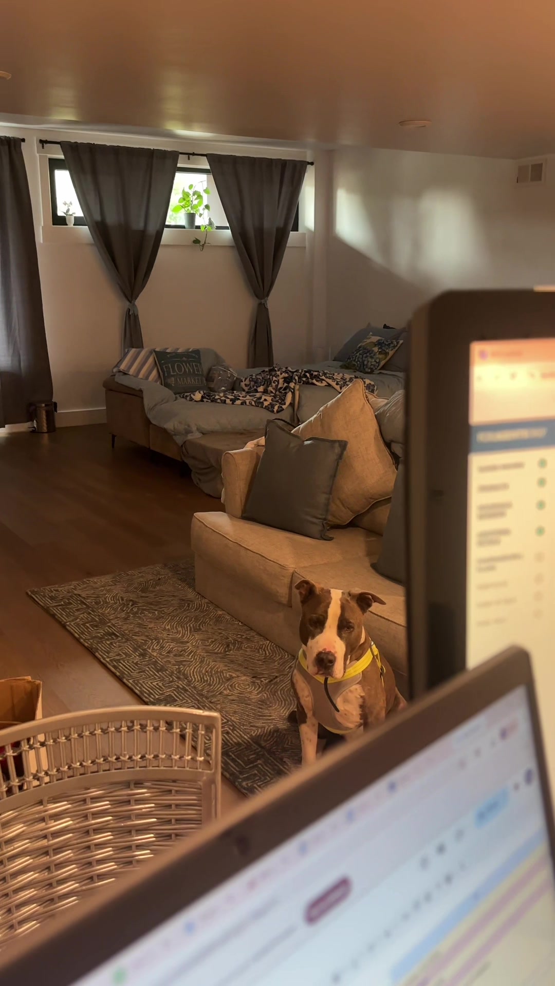 @caponethepitty