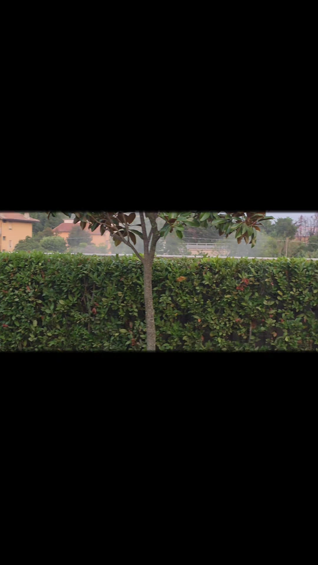 @Rotolo Angelo 26