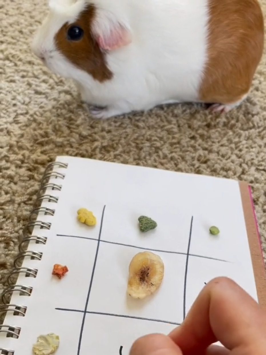 @Furry Potatoes