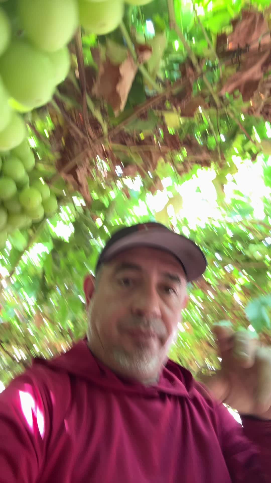 @Gustavo