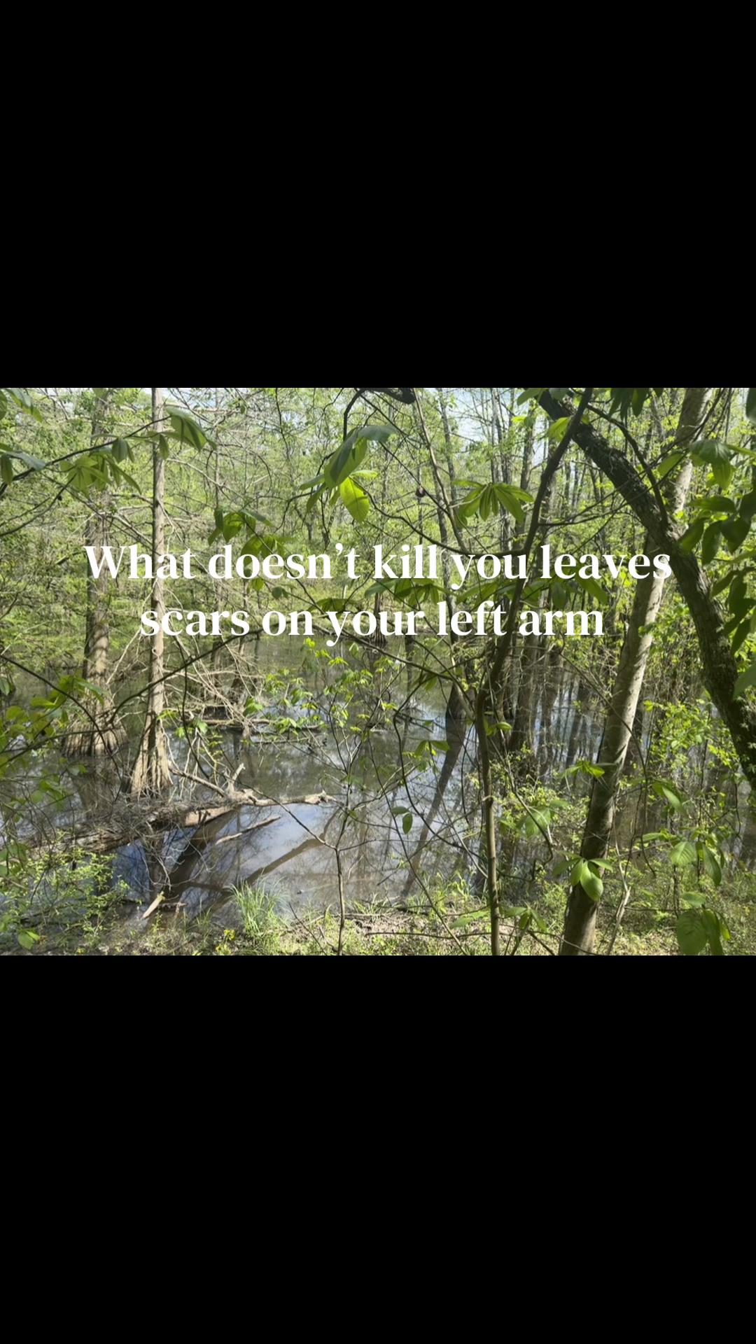 @🦓🐘🐊🐷