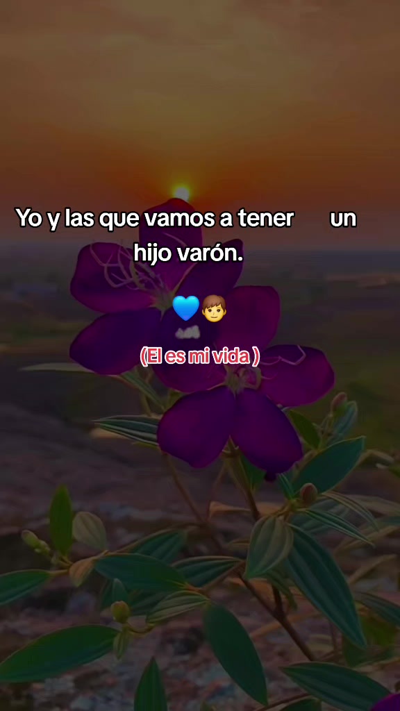 @vickely